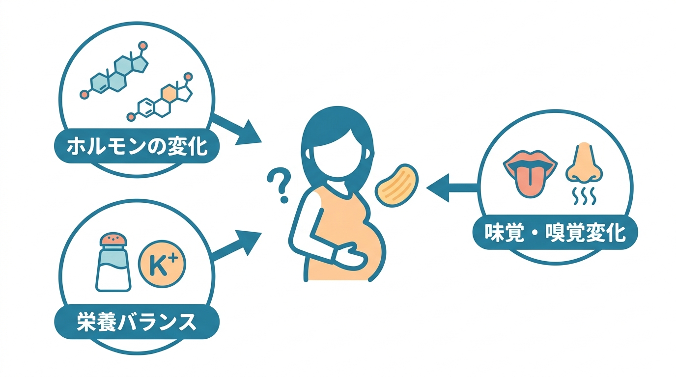 つわり中にポテチを食べたくなる5つの理由